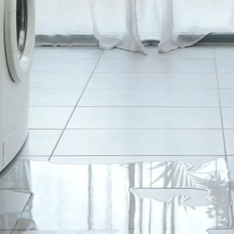Appliance Leak Cleanup in Boise, ID