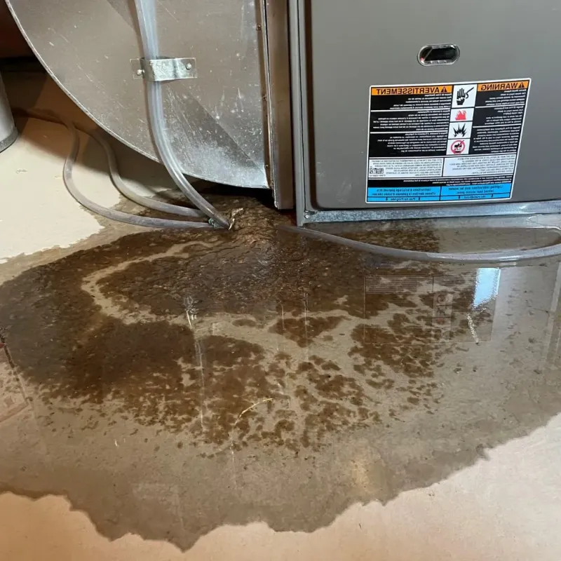 Pipe Burst and Leak Restoration in Boise, ID
